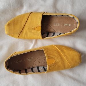 Toms Canvas Women's Classics in Gold - Size 8